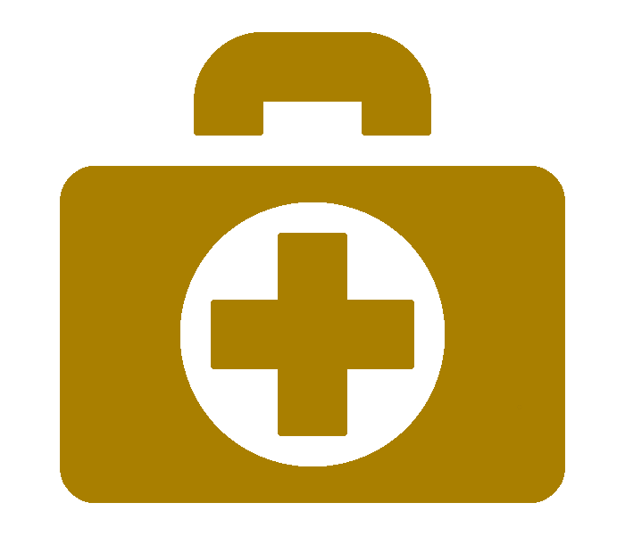 Medical supply case icon